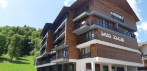 Area Park-Forest Stay Bakuriani